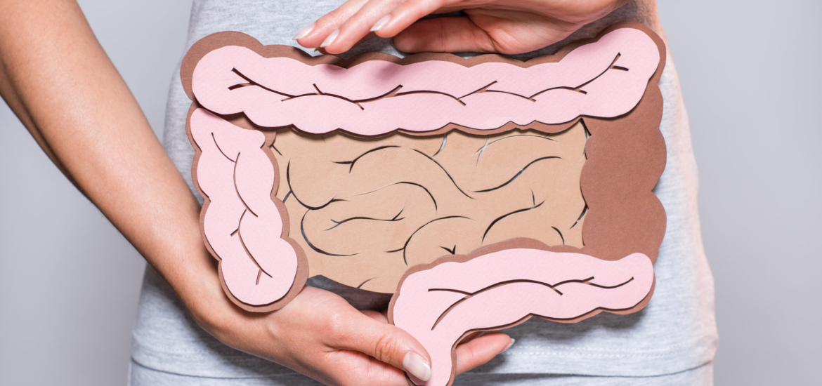 Papiermodell des Dickdarms zur Veranschaulichung der Darmgesundheit und Verdauungsdiagnostik in der Praxis Juvanity Lampertheim