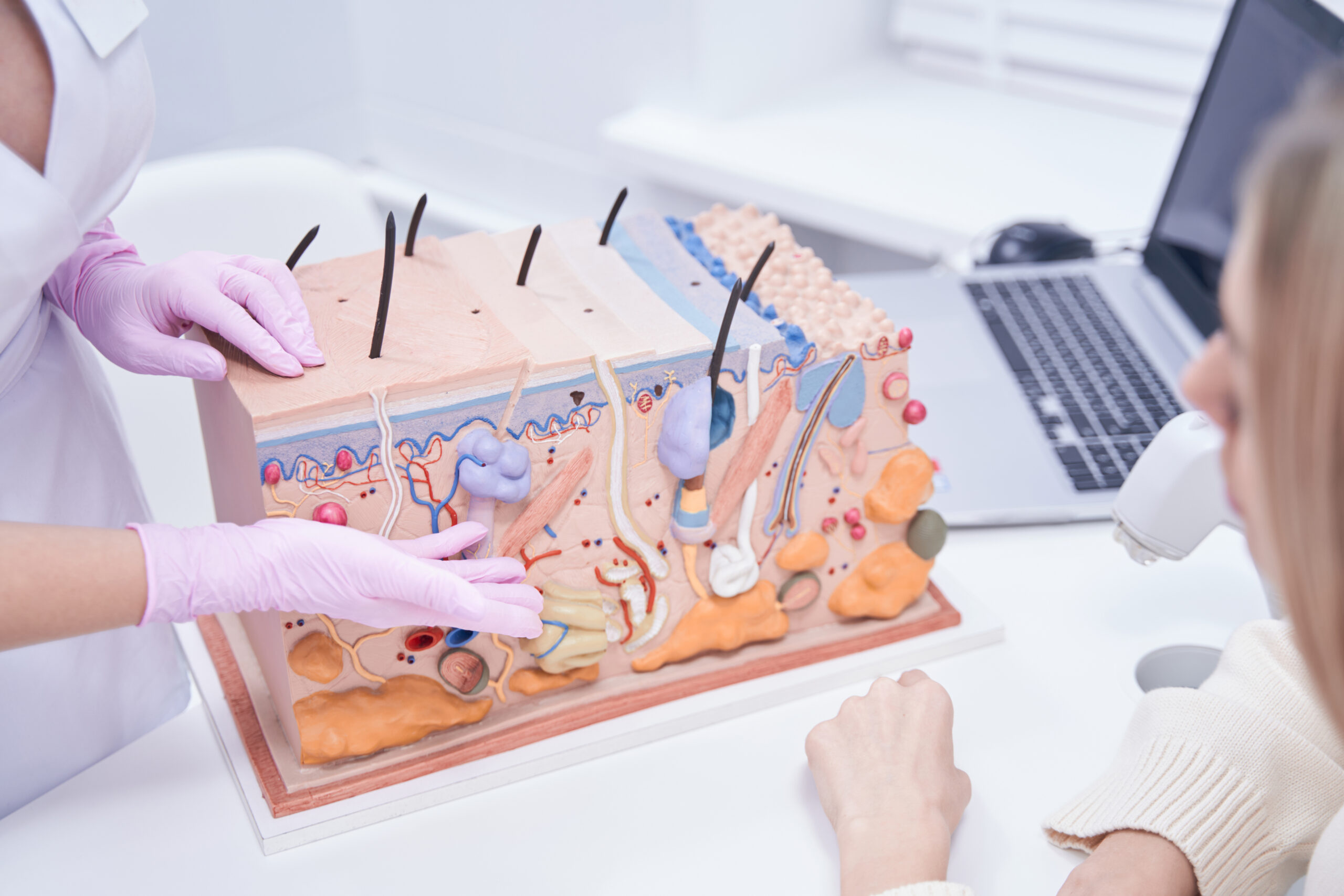 Heilpraktikerin erklärt einer Patientin den Aufbau der Dermis zur professionellen Hautberatung in der Praxis Juvanity Lampertheim